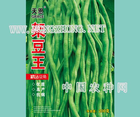 架豆王